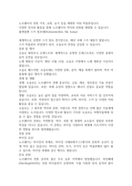 노르웨이-4