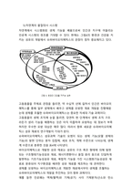 [레포트]바이오미메틱을 활용한 섬유 개발에 관하여-13