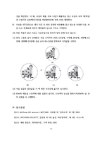 [화공실험]기액평형 실험 예비레포트-13