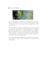 [기계공학]풍동 유동가시화 실험 예비레포트-3