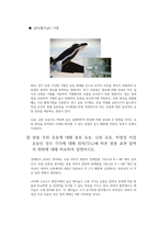 [기계공학]풍동 유동가시화 실험 예비레포트-4