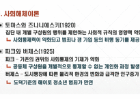(A+보장, 청소년비행론 ppt발표) 지역사회와 청소년 비행-6