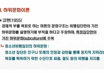 (A+보장, 청소년비행론 ppt발표) 지역사회와 청소년 비행-9