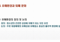 (A+보장, 청소년비행론 ppt발표) 지역사회와 청소년 비행-17