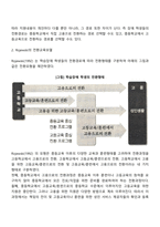 전환교육의 모델-3