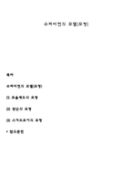 슈퍼비전의 모델(모형)-1