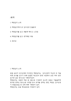 백범일지 책소개 및 백범일지를 읽고 새롭게 배우고 느낀점과 생각해본 내용 및 백범일지 독후감-2