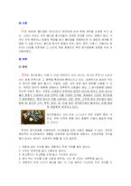 (세계의 음식문화) 2002년 월드컵 참가국들의 음식문화 탐구-2