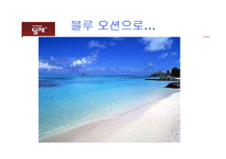 [마케팅전략]블루오션 & 딤채-5