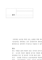 [윈드서핑]계절스포츠 `윈드서핑`-3