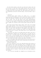 김영삼 정부와 김대중정부의 비교 고찰-4