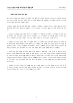 Euro도입에 따른 국내 기업의 대응전략-13