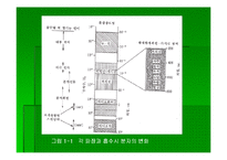 [기기분석]자외선-가시광선 분광광도법-3