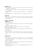 [지방행정]지방행정 혁신 방안의 이해-2