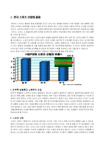 한국 스포츠 시장 분석과 스포티즌 사례 연구-13