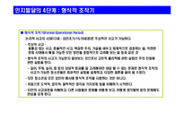 [교육학] 피아제의 `안지발달 이론`애 대한 발표용 자료-13