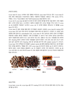 식품가공학 실습보고서6 cocoa roasting-2