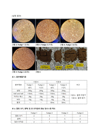 식품가공학 실습보고서7  Fudge 제조 실습-4