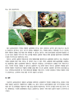 해충방제학_국내에서 발생한 돌발 해충(2종) 및 약제저항성 해충(2종) 발생 현황과 발생 원인 및 관리방제 대책 1 국내 발생 돌발해충의 발생 현황과 원인 및 관리방제 대책 1) 꽃매미 2) 갈색날개매미충 2 국내 발생 약제저항성 해충의 발생 현황과 원인 및 관리방제 대책 1) 벼멸구 2) 끝동매미충 (2)-6