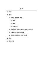 군사혁신과 새로운 전쟁_러시아 우크라이나전의 유무인 복합전투사례 연구-2