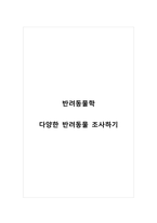 반려동물학_다양한 반려동물 조사하기-1