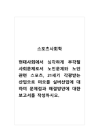 스포츠사회학_현대사회에서 심각하게 부각될 사회문제로서 노인문제와 노인관련 스포츠, 21세기 각광받는 산업으로 떠오를 실버산업에 대하여 문제점과 해결방안에 대한 보고서를 작성하시오-1