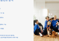 기초동물훈련_한국의 애견훈련소 실태조사-7