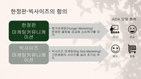 마케팅커뮤니케이션_최신 마케팅커뮤니케이션에 대한 사례조사_한정판 빅사이즈 제품 사례를 중심으로-7