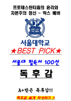 A+ 프로테스탄티즘의 윤리와 자본주의 정신 - 막스 베버 독후감[서울대 필독서 100선]-1