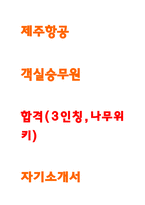 제주항공 자소서 24년 상반기 합격 2번째편-1