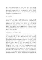 아시아나항공 기업전략 사례과 SWOT분석 및 아시아나항공 위한 미래전략 제시-9