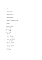 조현병 간호과정 (간호사정,간호진단,간호계획,간호수행,간호평가) 및 조현병 주요증상과 진단기준,치료법 연구-2