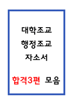 대학조교 자소서 3편모음-1