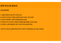 지역사회복지론_사업계획서 PPT -8