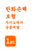 한화손해보험 자기소개서- 한화손해보험 상품개발 자소서 담대한 목표를 세우고 달성하고자 노력했던 경험 한화손해보험 당사가 자신을 선발해야 하는 이유를 본인의 전문성과 연결하여 기술-1