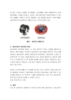 레드오션전략과 블루오션전략의 차이점을 설명하고 블루오션전략을 사용한 사례-3