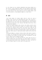 에스핑 엔더슨의 복지국가 유형에 대해 설명하고,  여성주의 시각으로 보았-4