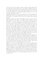 중국의 도시화와 문제점 및 개선방안-3
