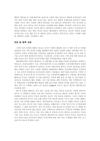 중국의 도시화와 문제점 및 개선방안-8