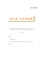 청서년지도방법론 -청소년지도를 위한 유해환경의 이해 차원에서 청소년보호-1