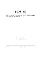 청소년문화 - 청소년의 학교 밖에서 즐길 수 있는 여가문화는 어떤 것이 -1