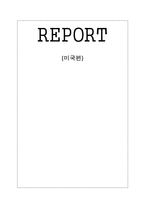 [국제광고론] 미국 광고-1