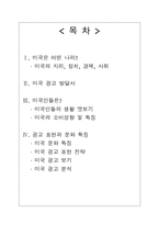 [국제광고론] 미국 광고-2