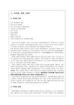 [국제광고론] 미국 광고-3