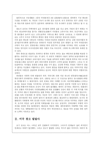 [국제광고론] 미국 광고-5
