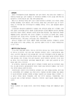 [국제광고론] 미국 광고-8