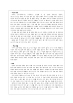 [국제광고론] 미국 광고-9