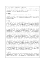 [국제광고론] 미국 광고-13