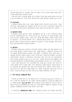 [국제광고론] 미국 광고-16