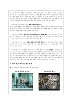 [국제광고론] 미국 광고-17